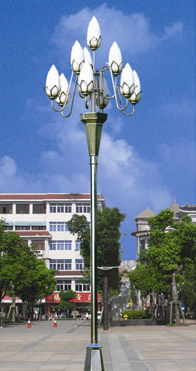 ZHD022